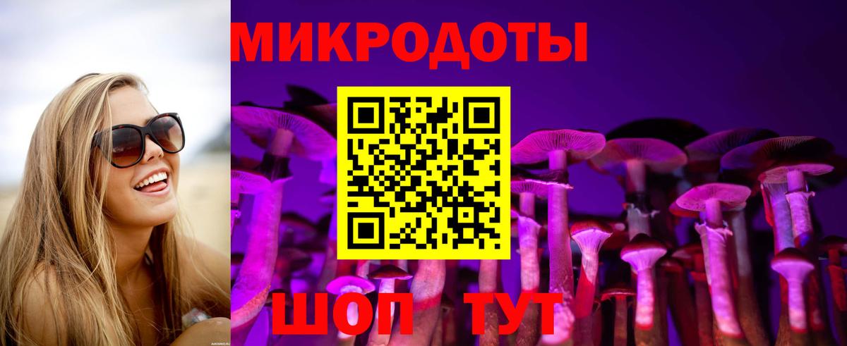 Галлюциногенные грибы Cubensis Жуковский